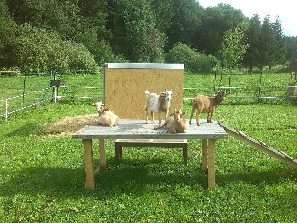 Muehlenhof シュタットキル エクステリア 写真
