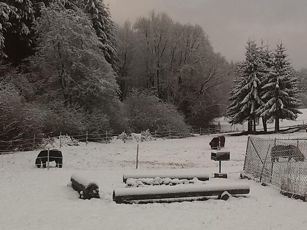 Muehlenhof シュタットキル エクステリア 写真