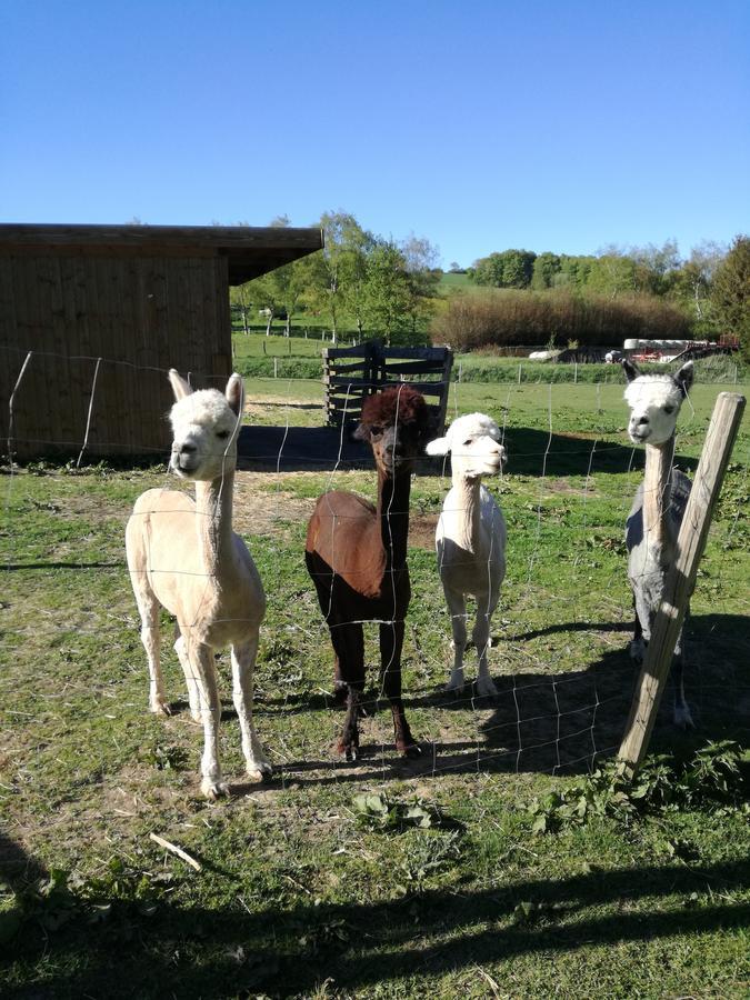 Muehlenhof シュタットキル エクステリア 写真